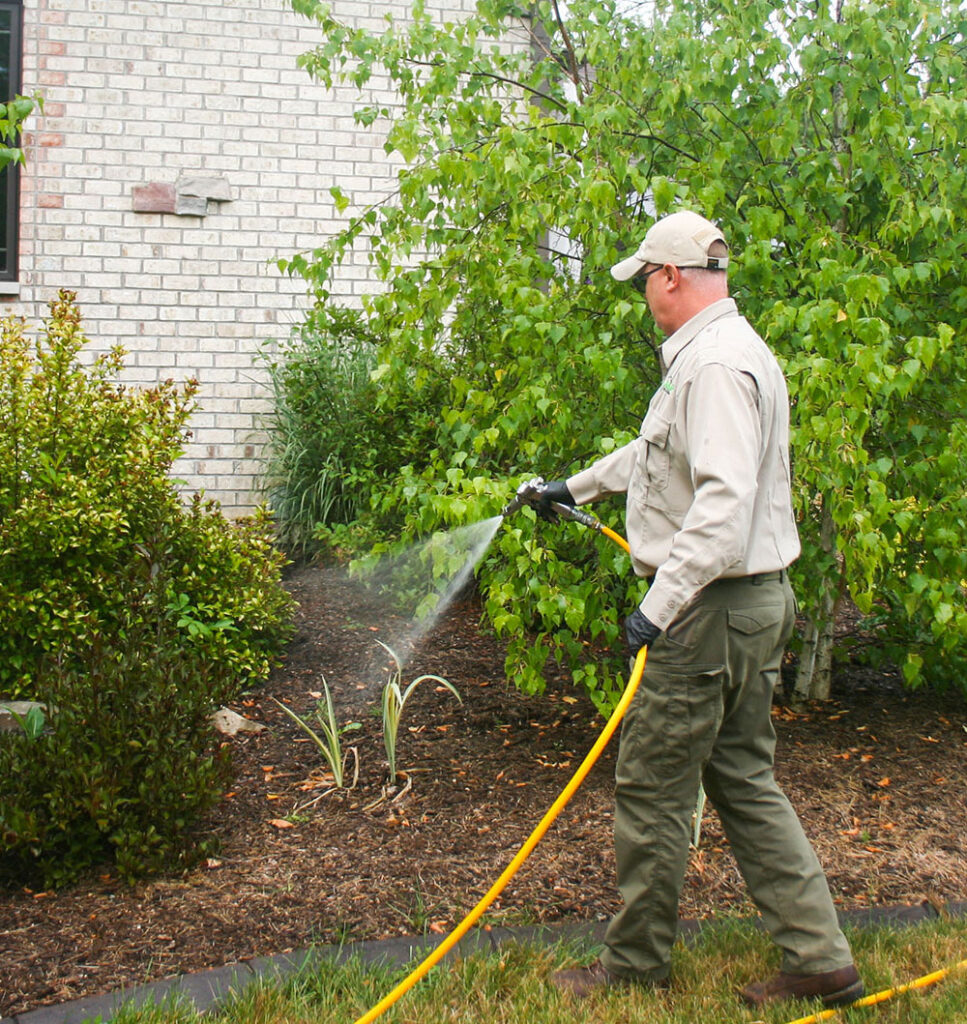 A person in a beige cap and shirt uses a yellow hose to spray a garden bed near a brick building, surrounded by green shrubs and trees, as part of local pest management services.