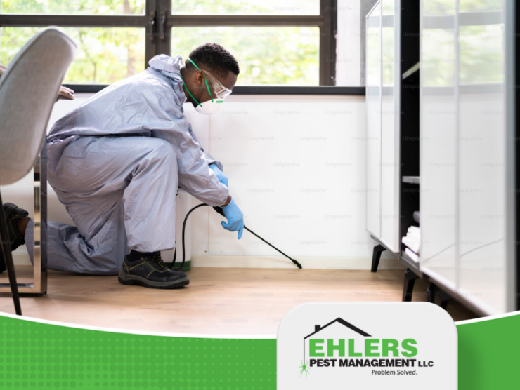 Key Approaches to Pest Management Explained| Ehlers