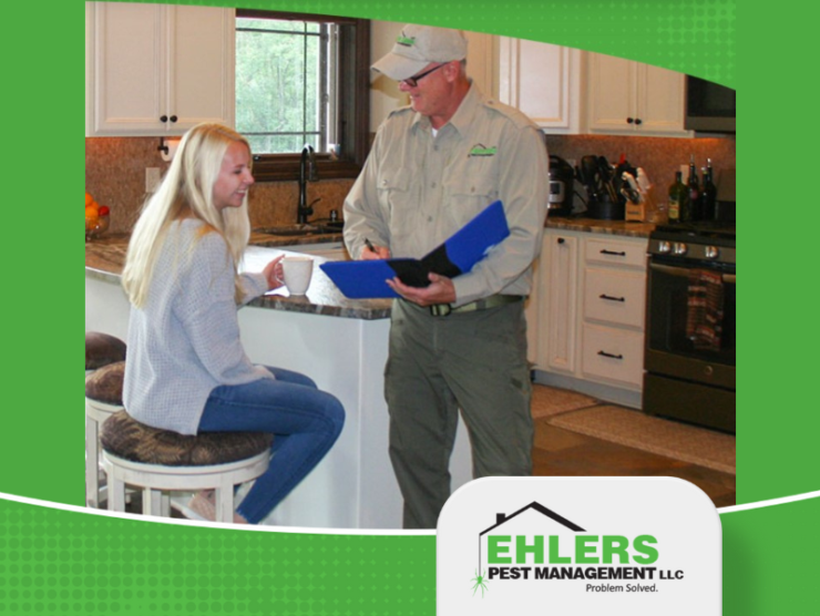 How to Choose the Best Pest Control Service for Your Home