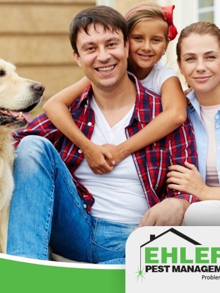 pet-safe pest control Milwaukee protecting family and dog in residential home environment