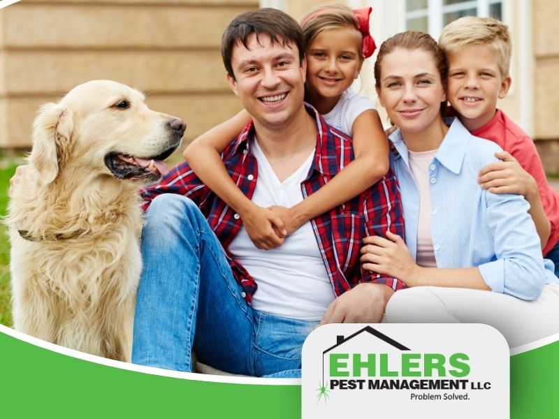 pet-safe pest control Milwaukee protecting family and dog in residential home environment