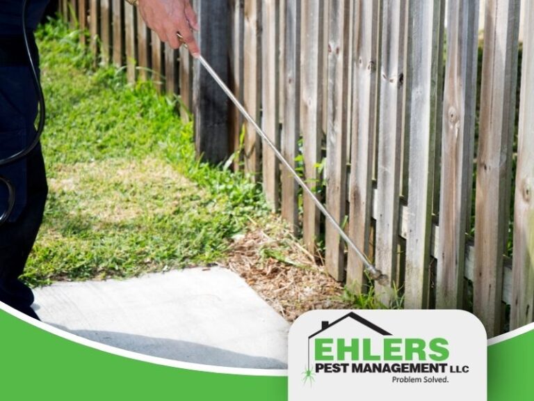 A pest control technician uses a sprayer to spray pesticide along a fence for a property management company