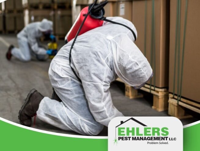 Two pest control technicians conduct pest control for a commercial business.