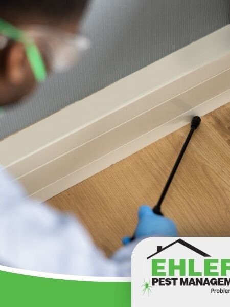 A person in protective gear sprays pest control treatment along a baseboard, with the Ehlers Pest Management LLC logo in the corner, showcasing professional pest management services.