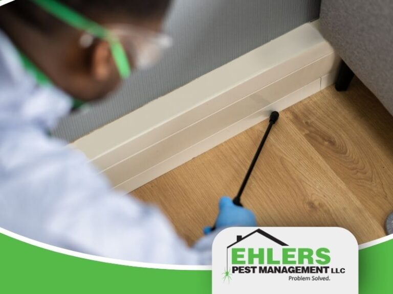 A person in protective gear sprays pest control treatment along a baseboard, with the Ehlers Pest Management LLC logo in the corner, showcasing professional pest management services.