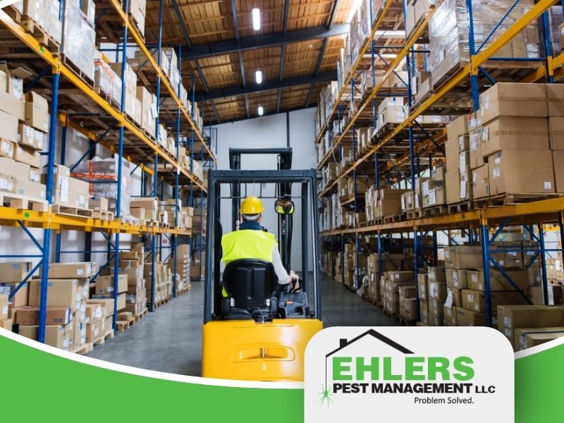 A man drives a forklift, wearing a hard hat. He's working inside of a warehouse.