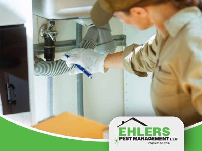 A person in uniform inspects plumbing under a sink, holding a pen, while the Ehlers Pest Management logo appears in the bottom right corner—demonstrating their commitment to thorough pest control.