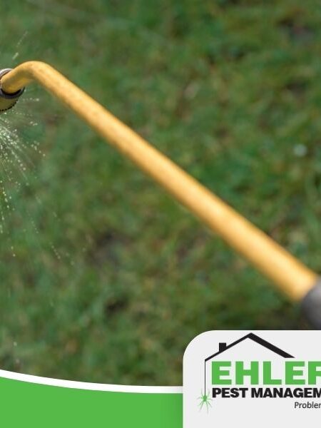 Close-up of a yellow spray nozzle releasing mist, with green grass in the background and an Ehlers Pest Management LLC logo in the lower right corner, highlighting professional pest management solutions.