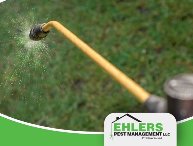 Close-up of a yellow spray nozzle releasing mist, with green grass in the background and an Ehlers Pest Management LLC logo in the lower right corner, highlighting professional pest management solutions.