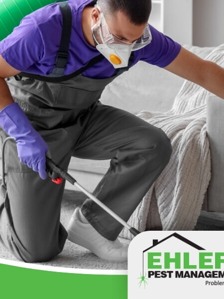 A pest control worker in protective gear sprays inside a home near a couch. As they work to eliminate unwanted pests, the question may arise: do landlords pay for pest control? The Ehlers Pest Management LLC logo appears at the bottom right.