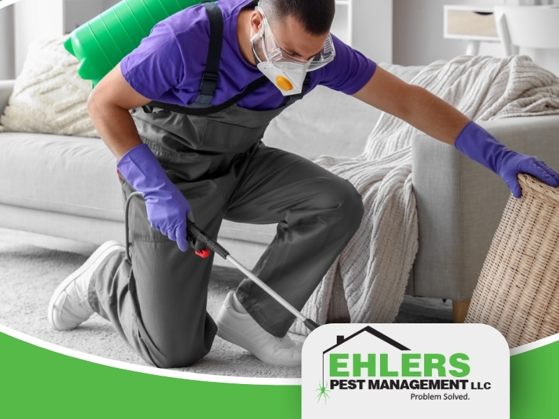 A pest control worker in protective gear sprays inside a home near a couch. As they work to eliminate unwanted pests, the question may arise: do landlords pay for pest control? The Ehlers Pest Management LLC logo appears at the bottom right.