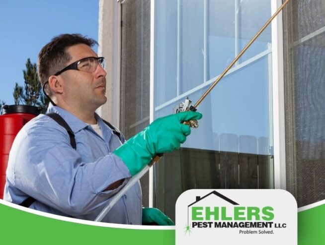 A man wearing safety glasses and green gloves sprays a window with pest control chemicals. The Ehlers Pest Management LLC logo appears in the bottom right corner.
