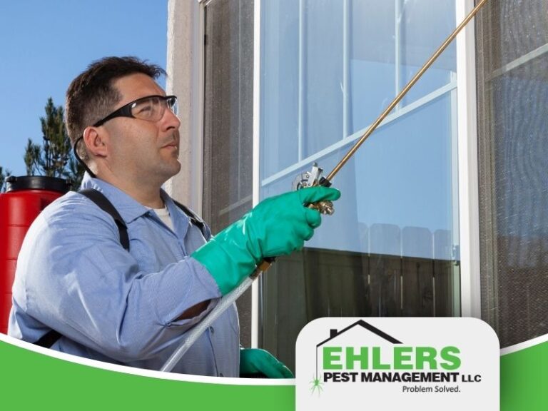 A man wearing safety glasses and green gloves sprays a window with pest control chemicals. The Ehlers Pest Management LLC logo appears in the bottom right corner.